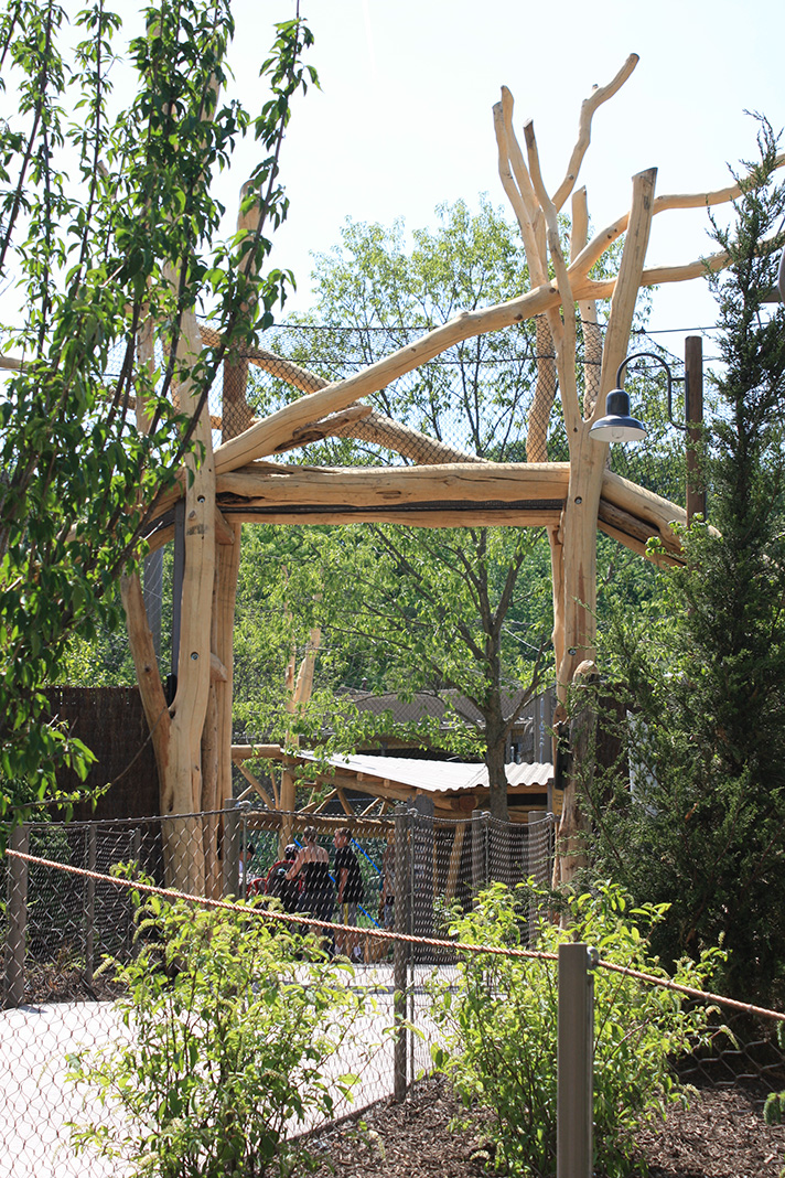 Rosebrough Tiger Passage - New June, 2016