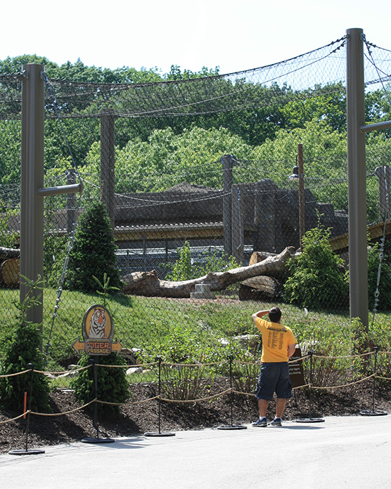 Rosebrough Tiger Passage - New June, 2016