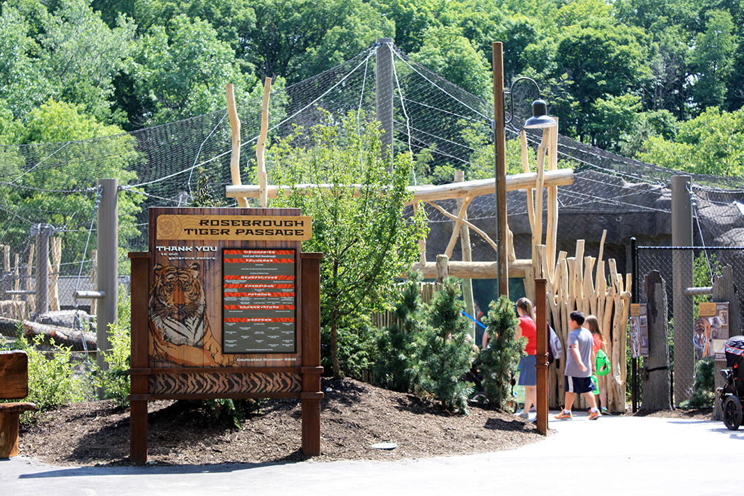 Rosebrough Tiger Passage - New June, 2016