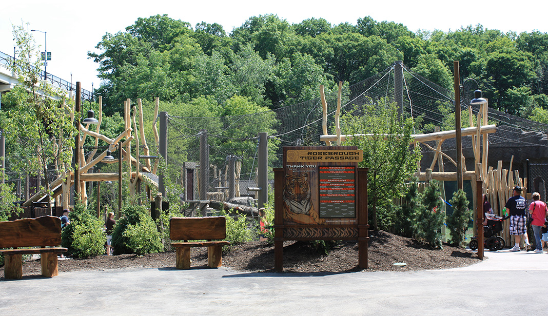 Rosebrough Tiger Passage - New June, 2016