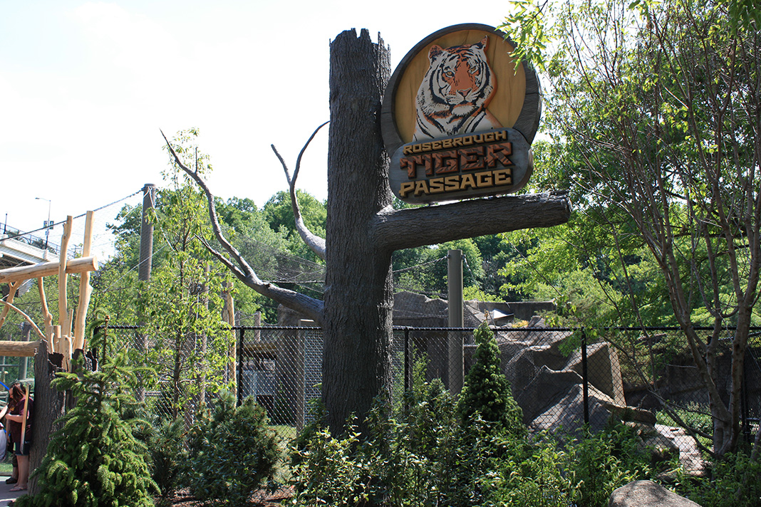 Rosebrough Tiger Passage - New June, 2016