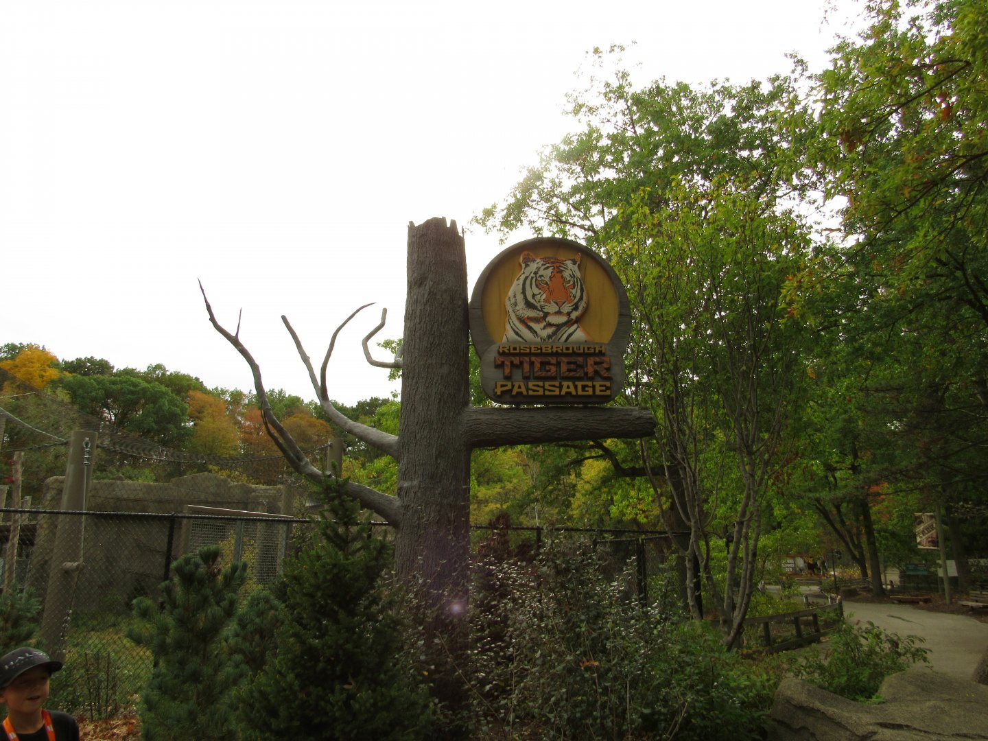 Rosebrough Tiger Passage