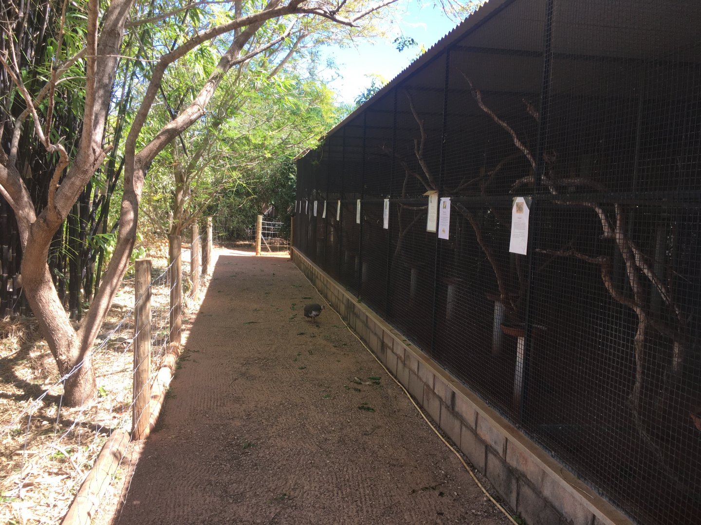 Rosella/Parrot enclosures