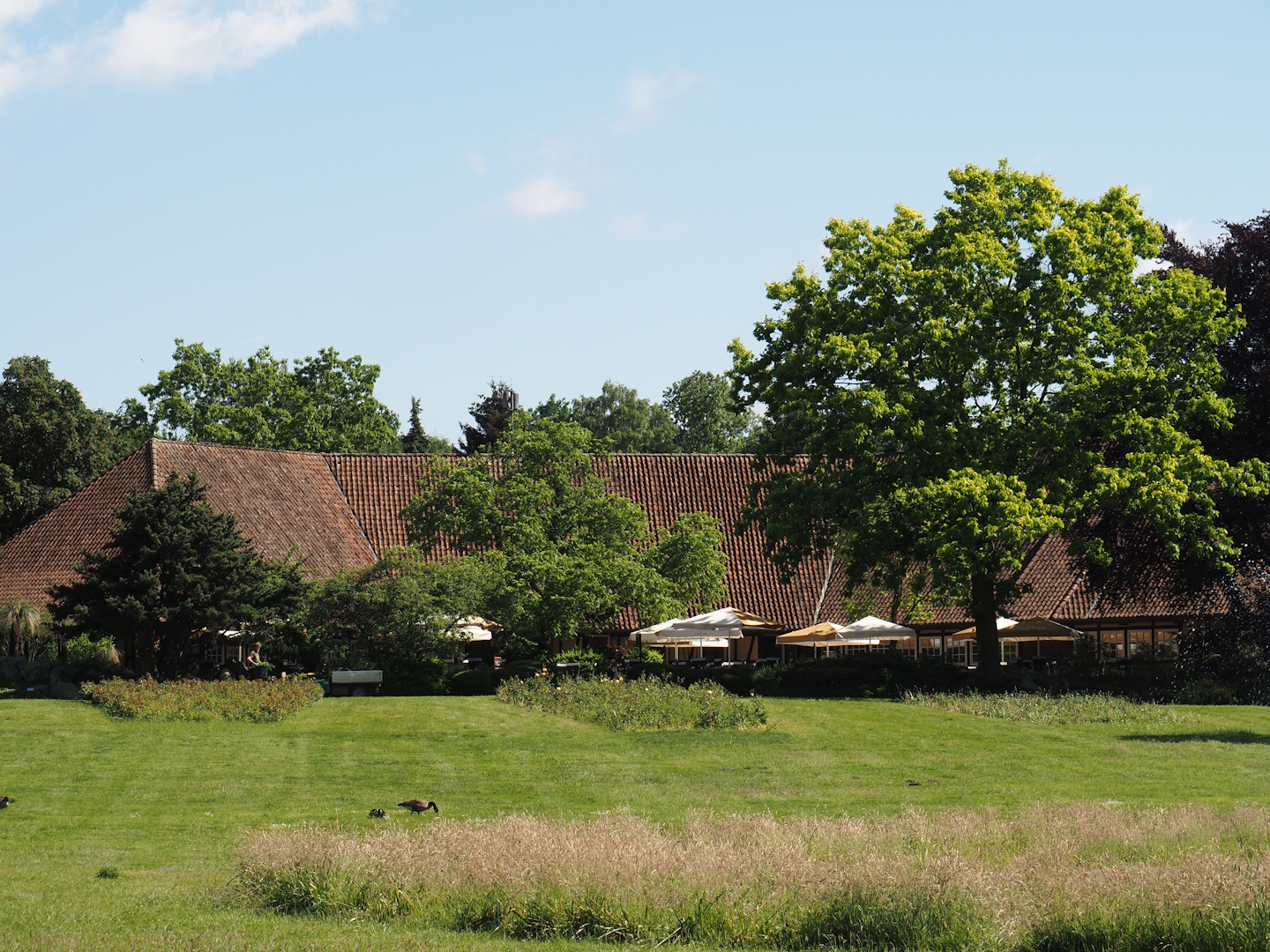 Rosencafé restaurant, 2024-05-23