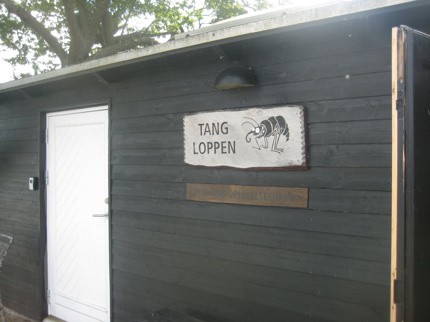 Roskilde Oplevelseshavn - Facade of "Tangloppen"