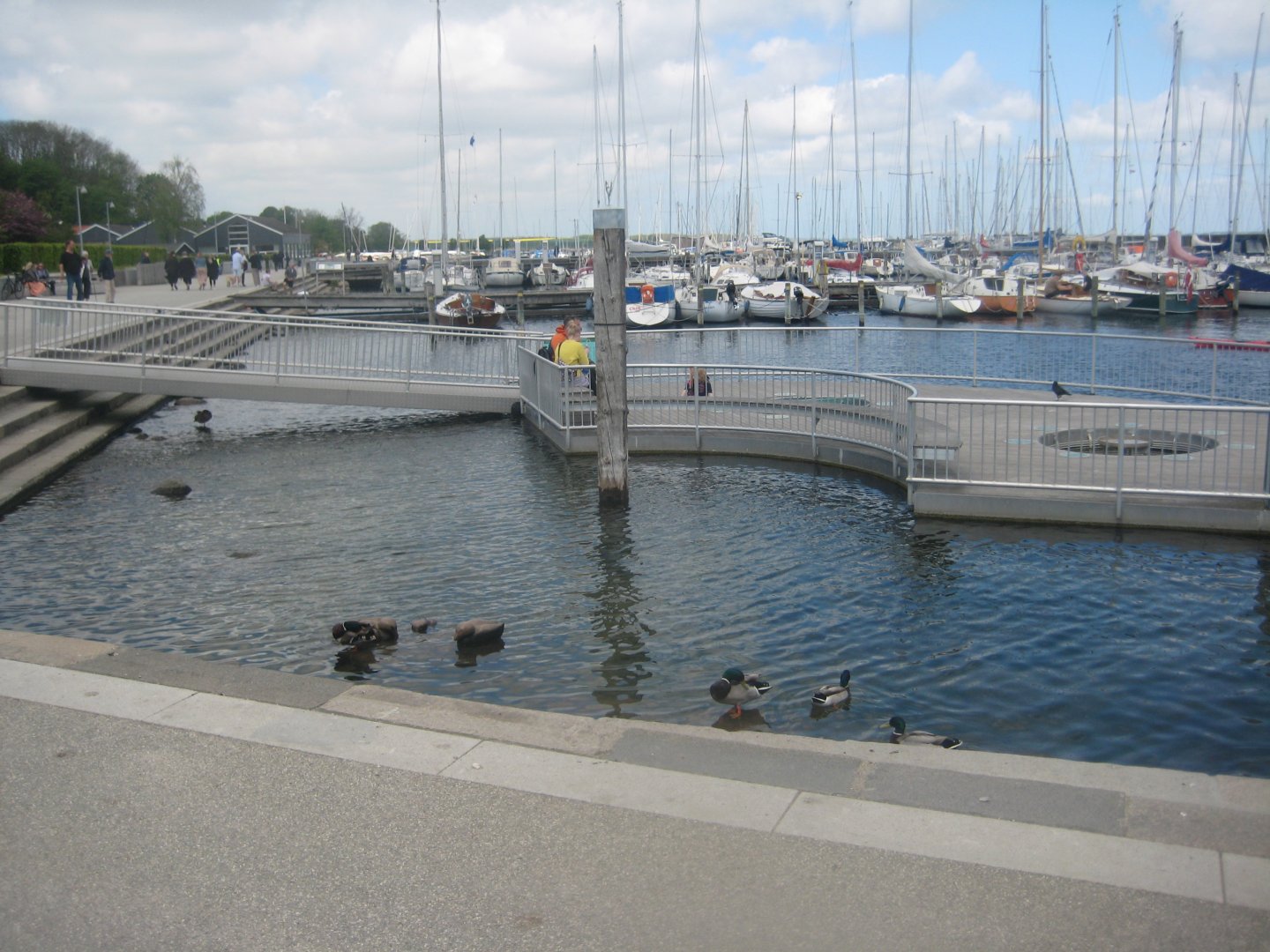 Roskilde Oplevelseshavn - Outdoor area