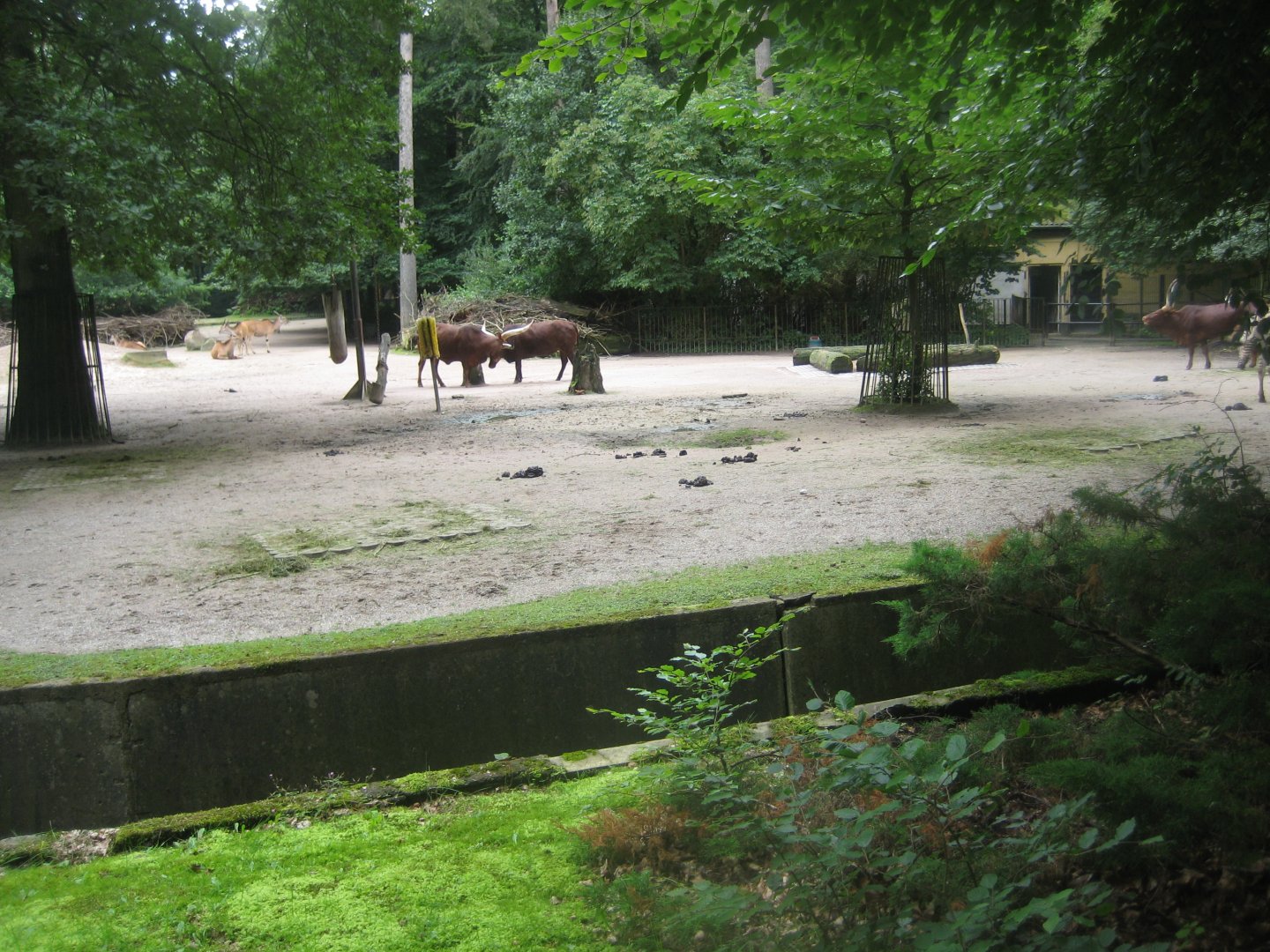 Rostock Zoo - African savanna