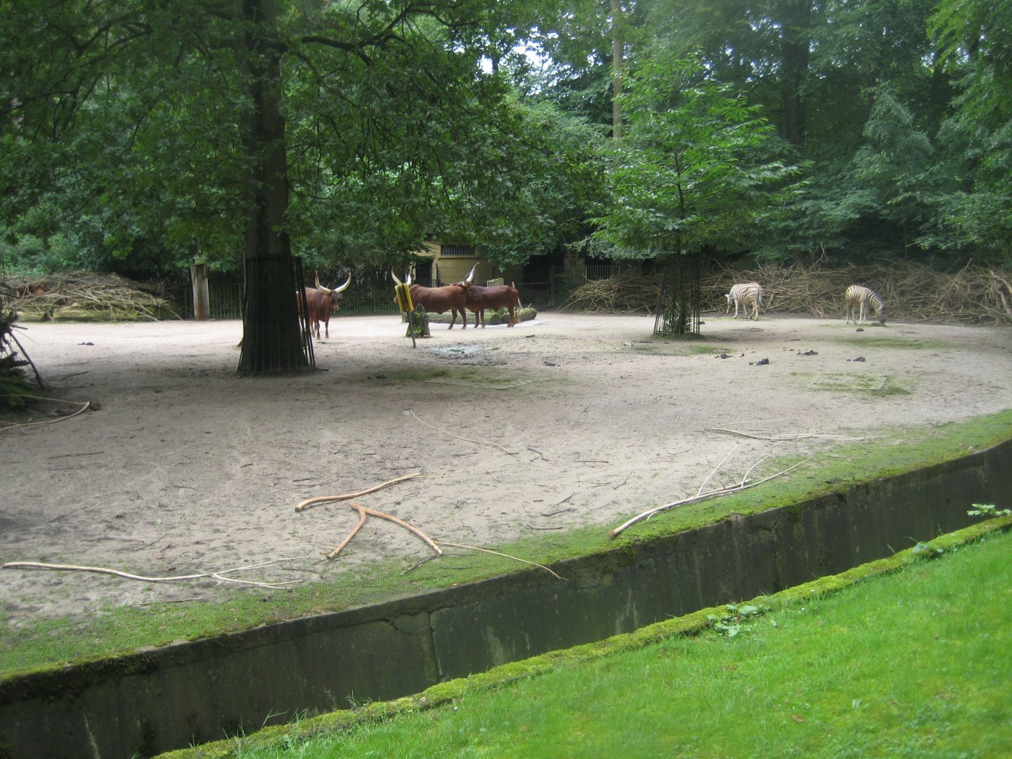 Rostock Zoo - African savanna
