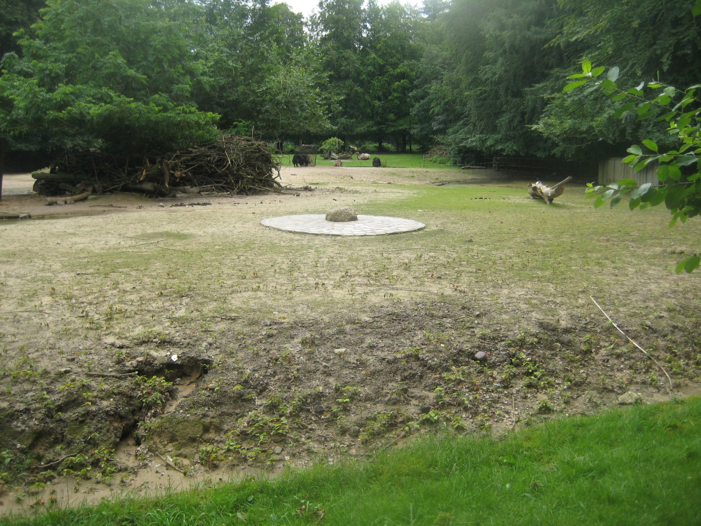 Rostock Zoo - Asian plain