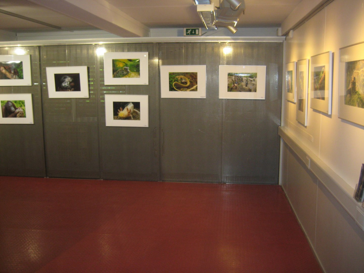 Rostock Zoo - Atelier Natur