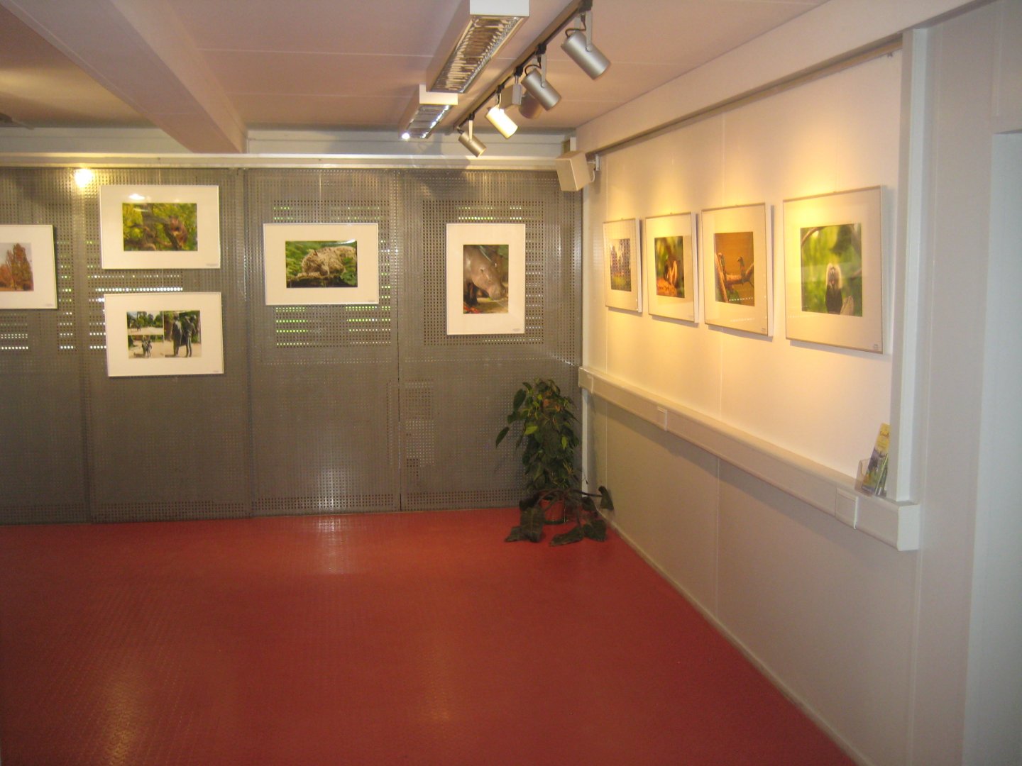 Rostock Zoo - Atelier Natur