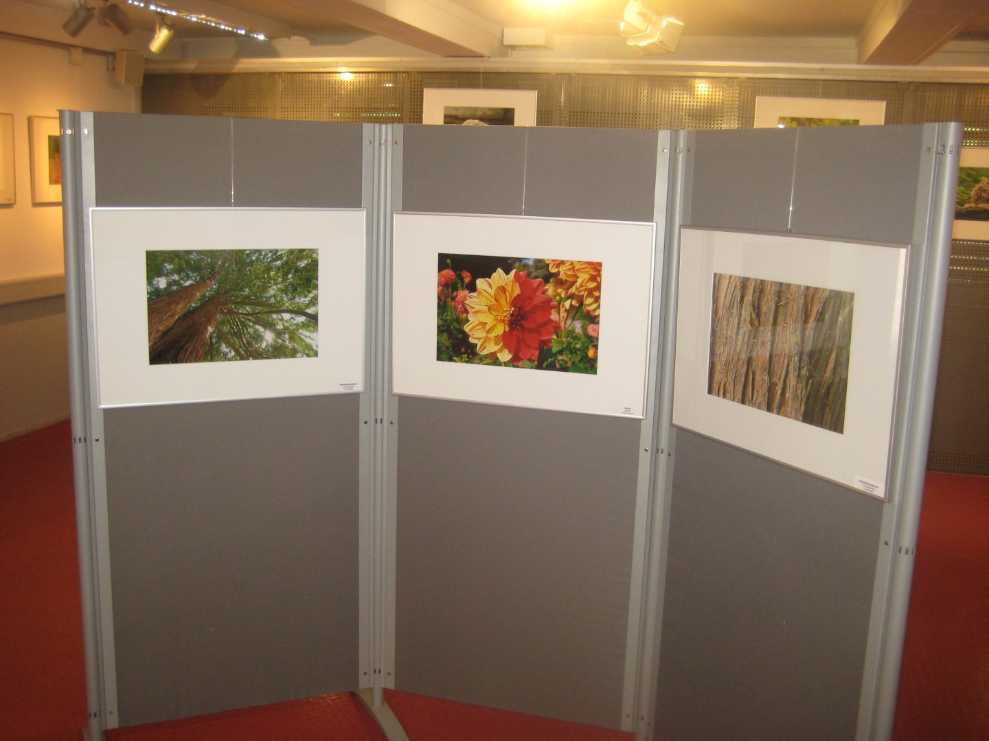 Rostock Zoo - Atelier Natur