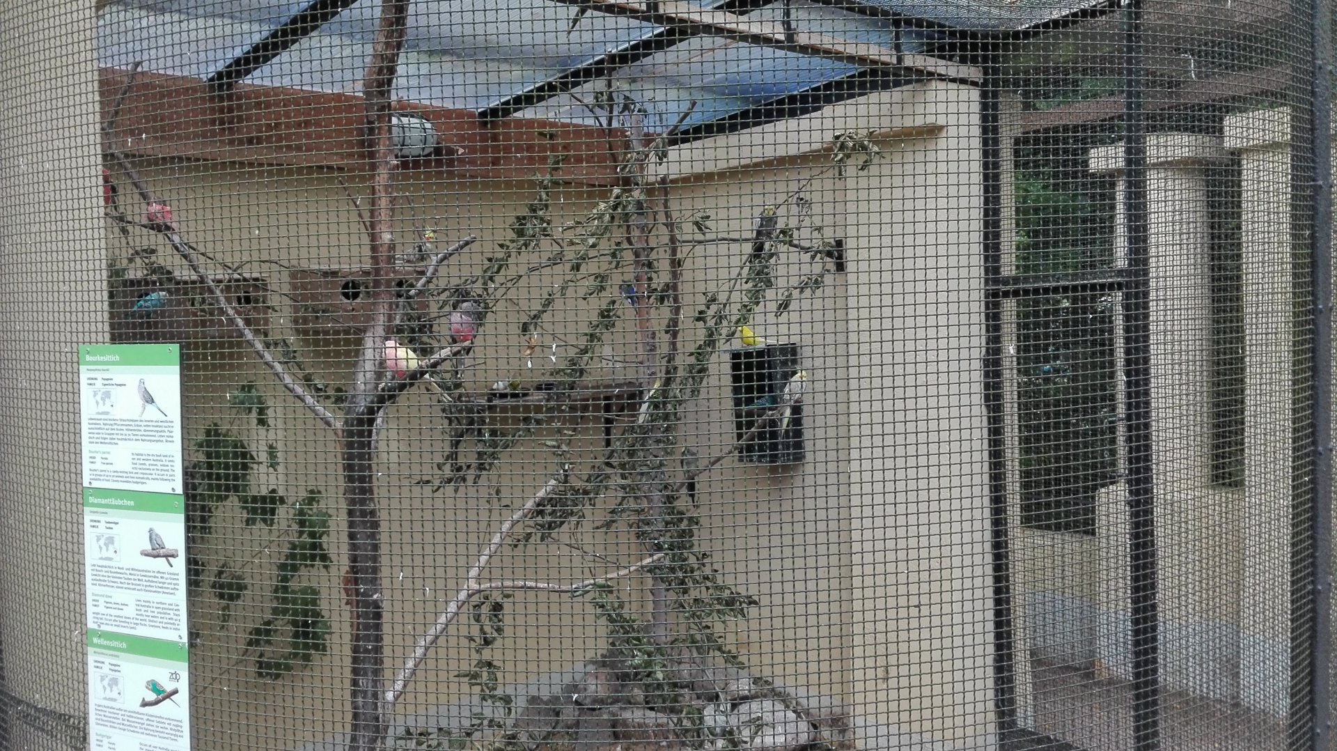 Rostock Zoo - Australian aviary