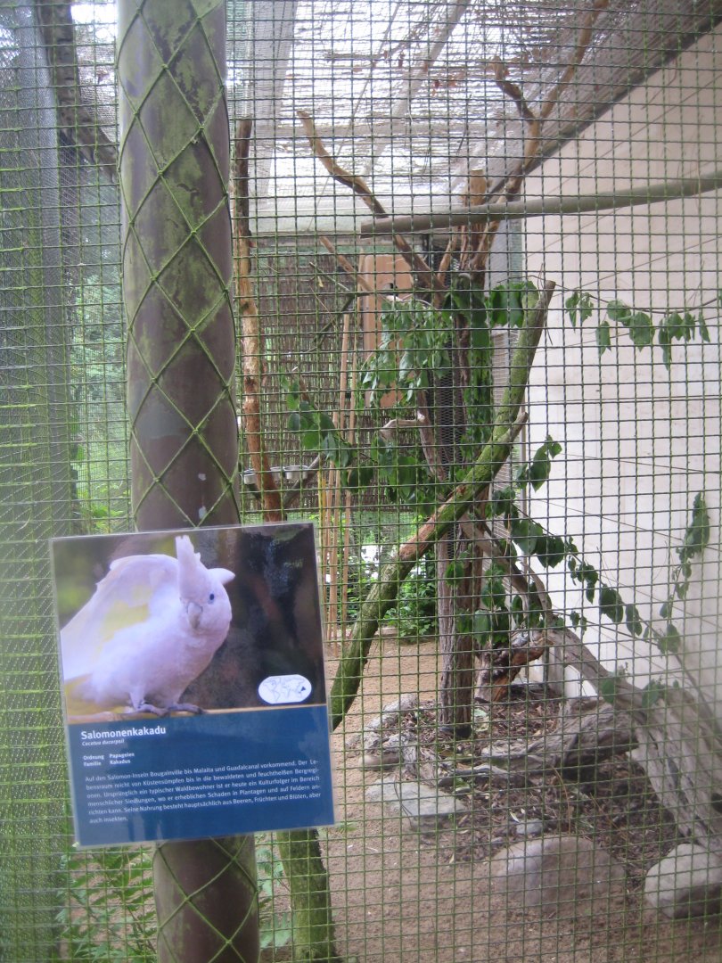Rostock Zoo - Bird/reptile house - Cockatoo aviary