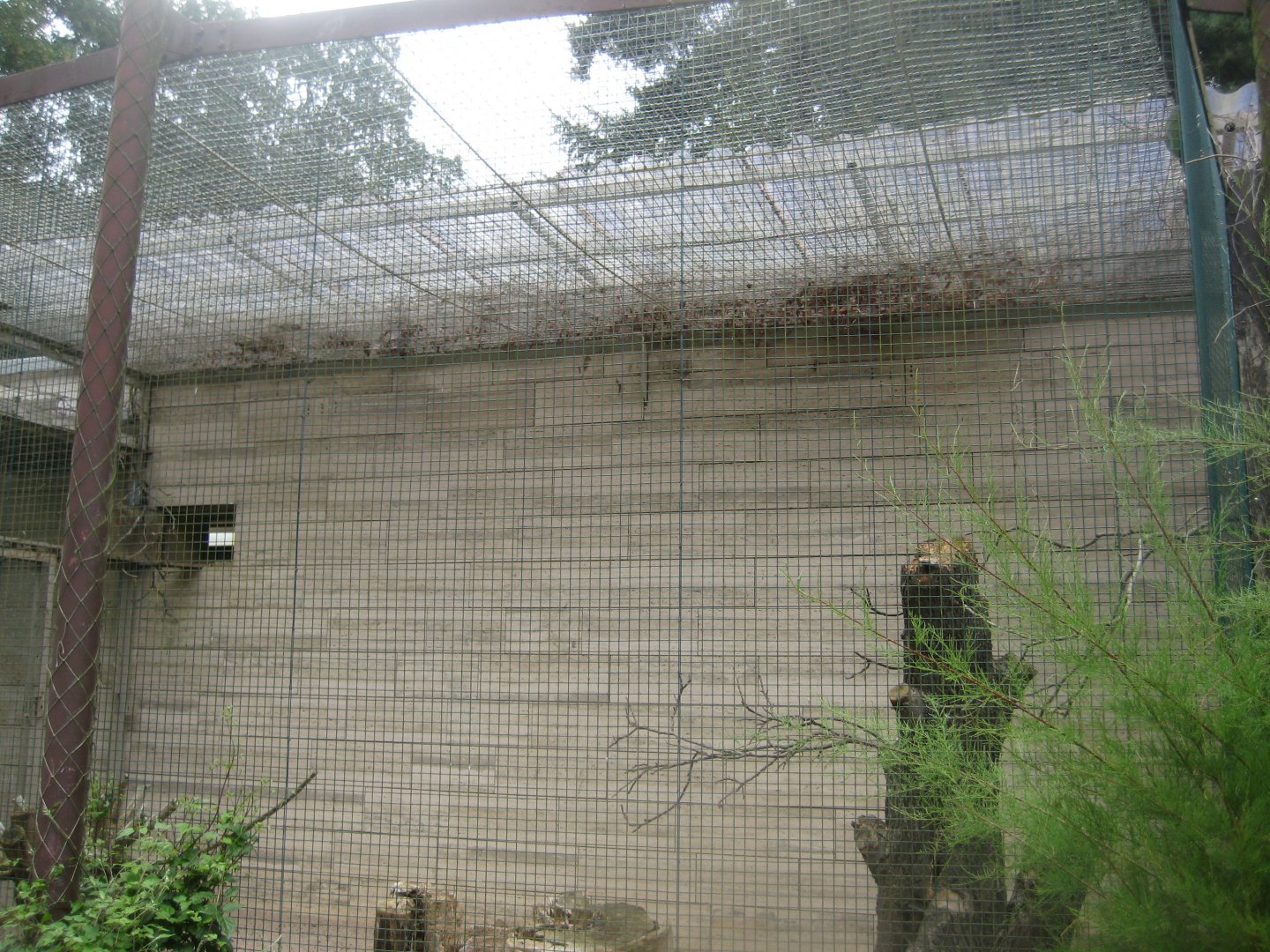 Rostock Zoo - Bird/reptile house - Cuba aviary