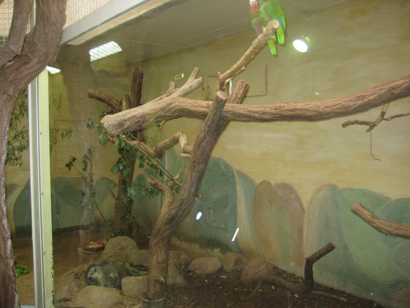 Rostock Zoo - Bird/reptile house - Cuba aviary
