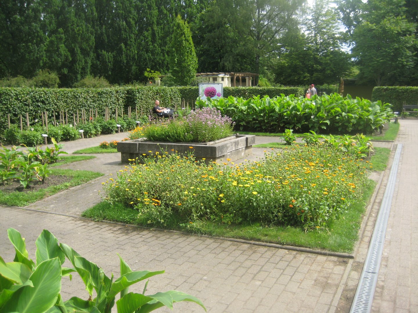 Rostock Zoo - "Dahlia quarter"