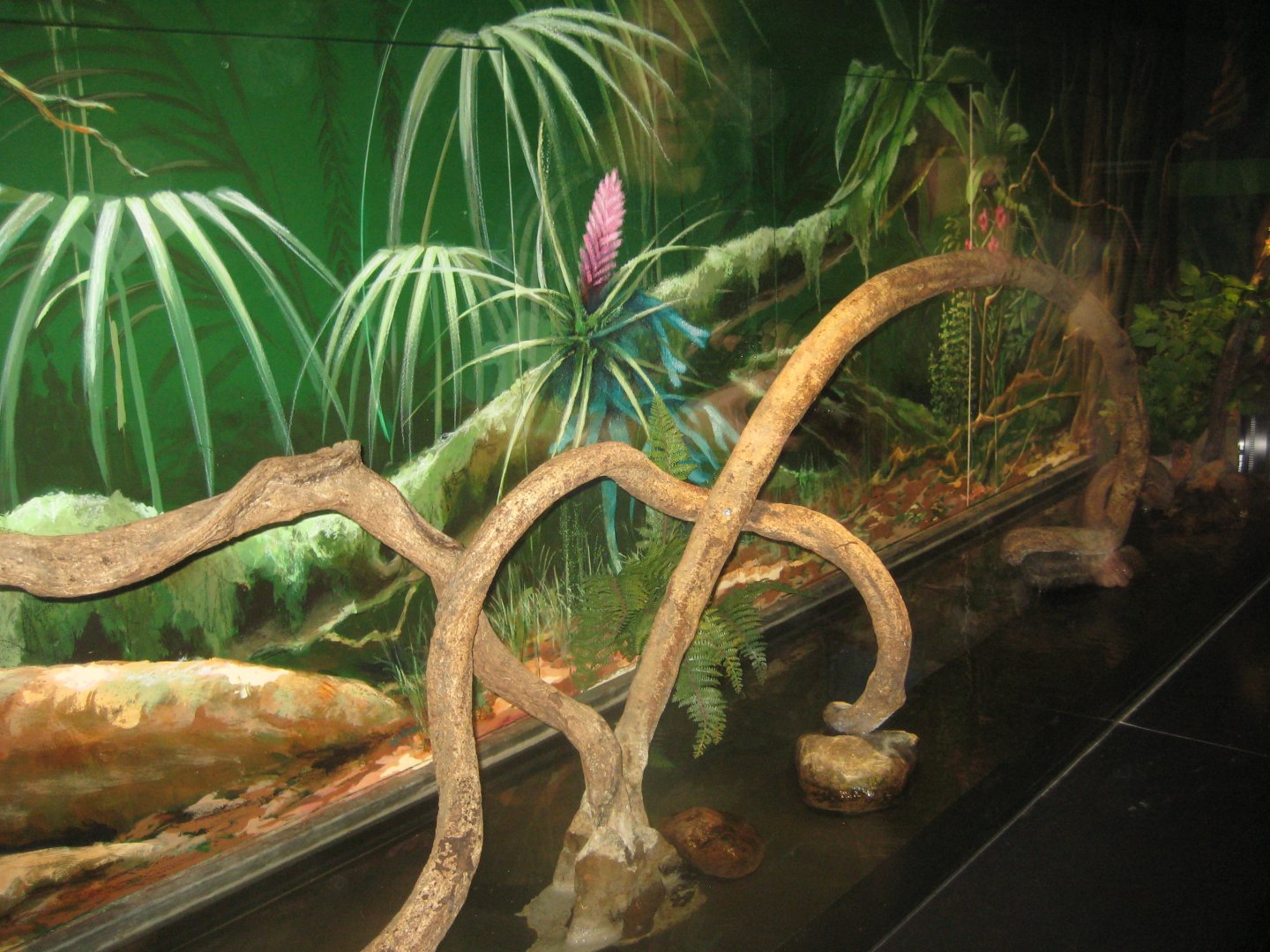 Rostock Zoo - Darwineum - Ant exhibit