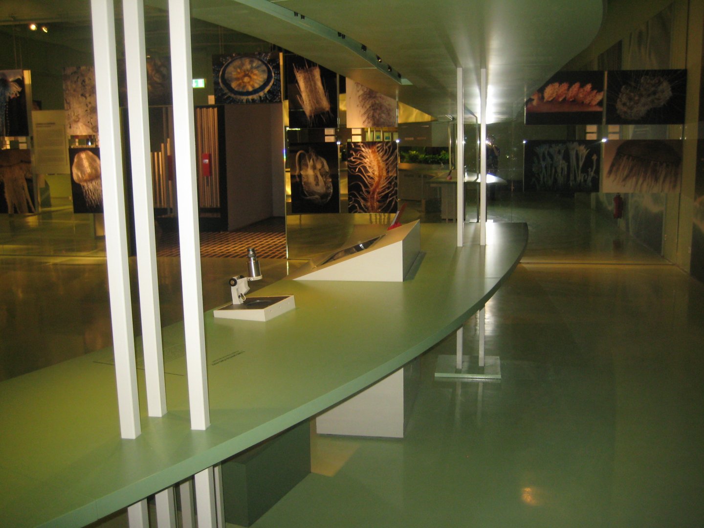 Rostock Zoo - Darwineum - Exhibition on cultural evolution