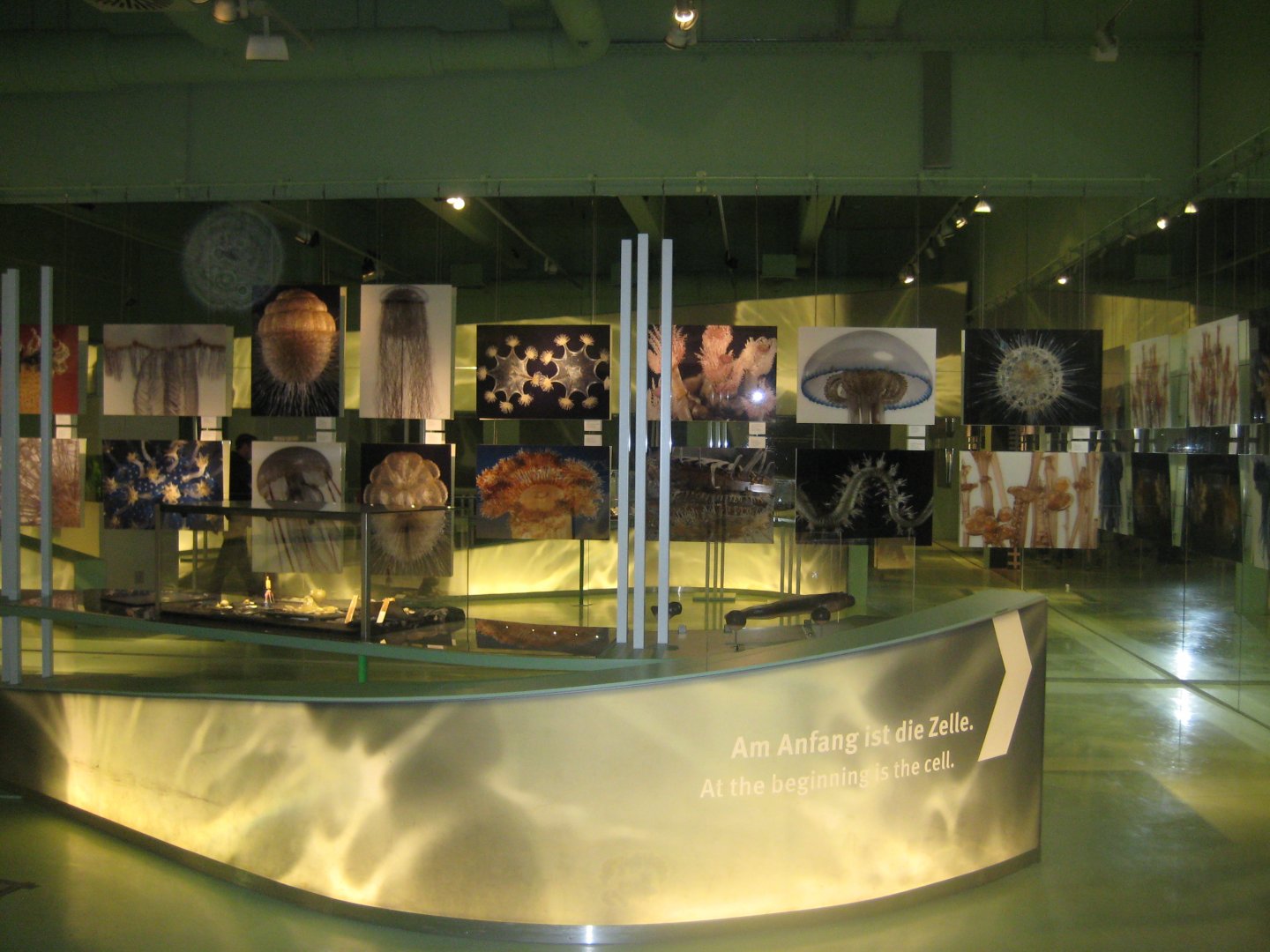 Rostock Zoo - Darwineum - Exhibition on cultural evolution