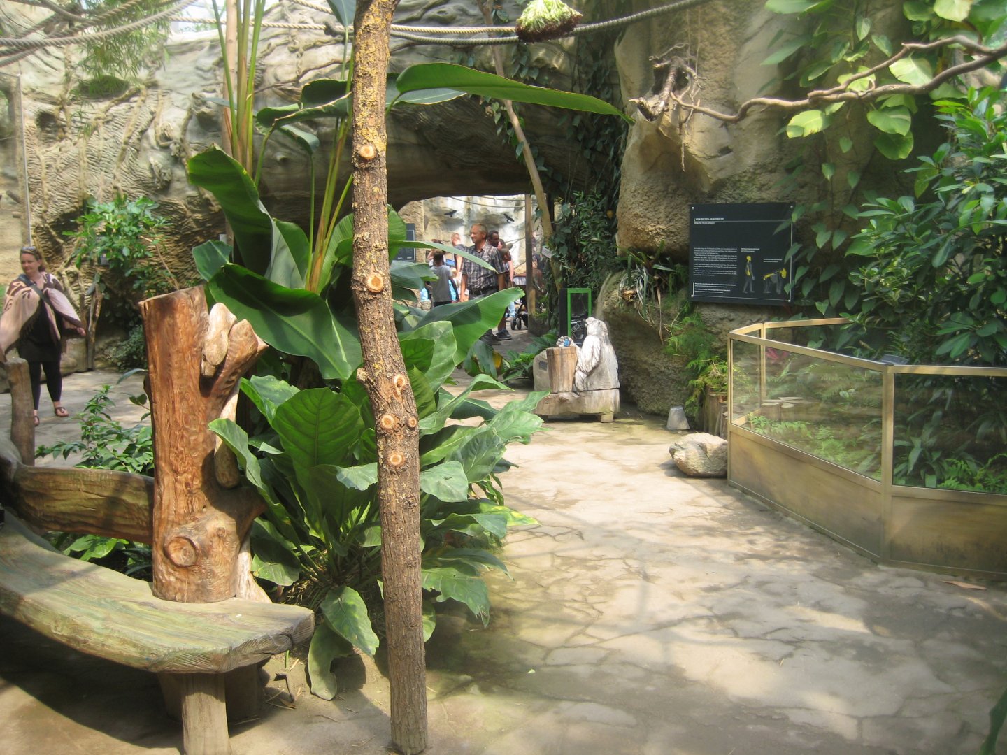 Rostock Zoo - Darwineum - General view of the tropical hall