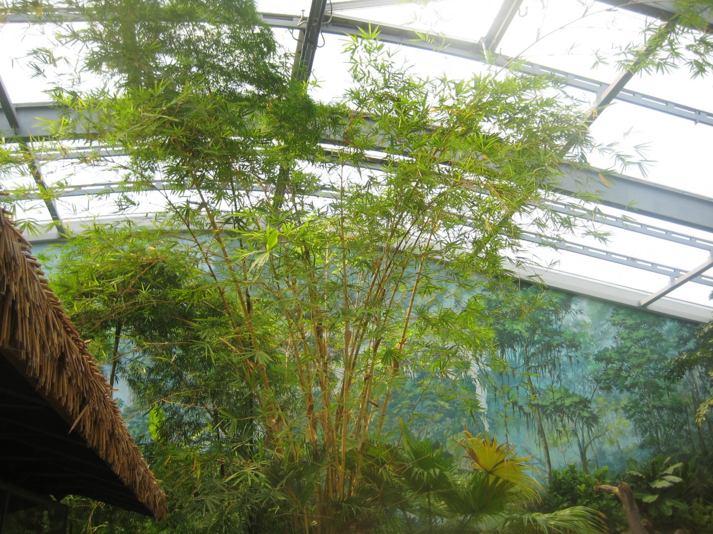 Rostock Zoo - Darwineum - General view of the tropical hall