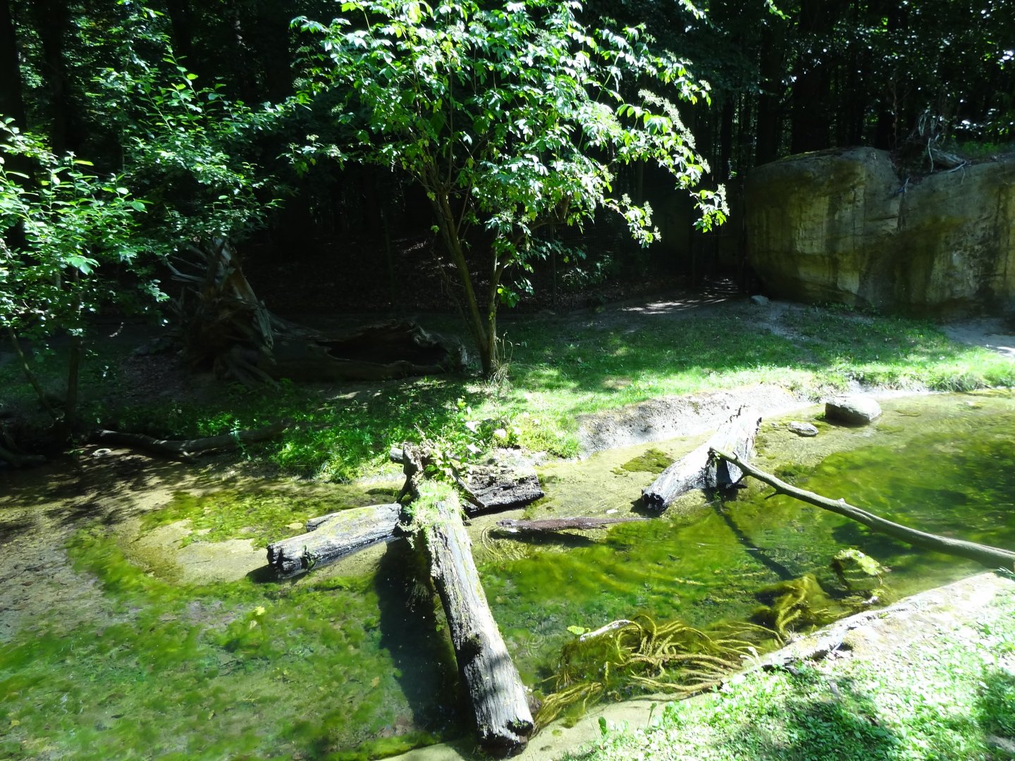 Rostock Zoo - Eurasian Otter Enclosure