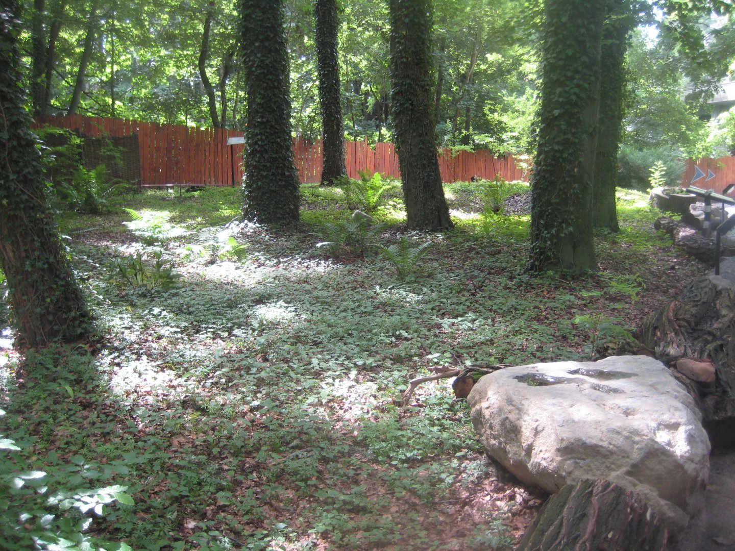 Rostock Zoo - Flower field