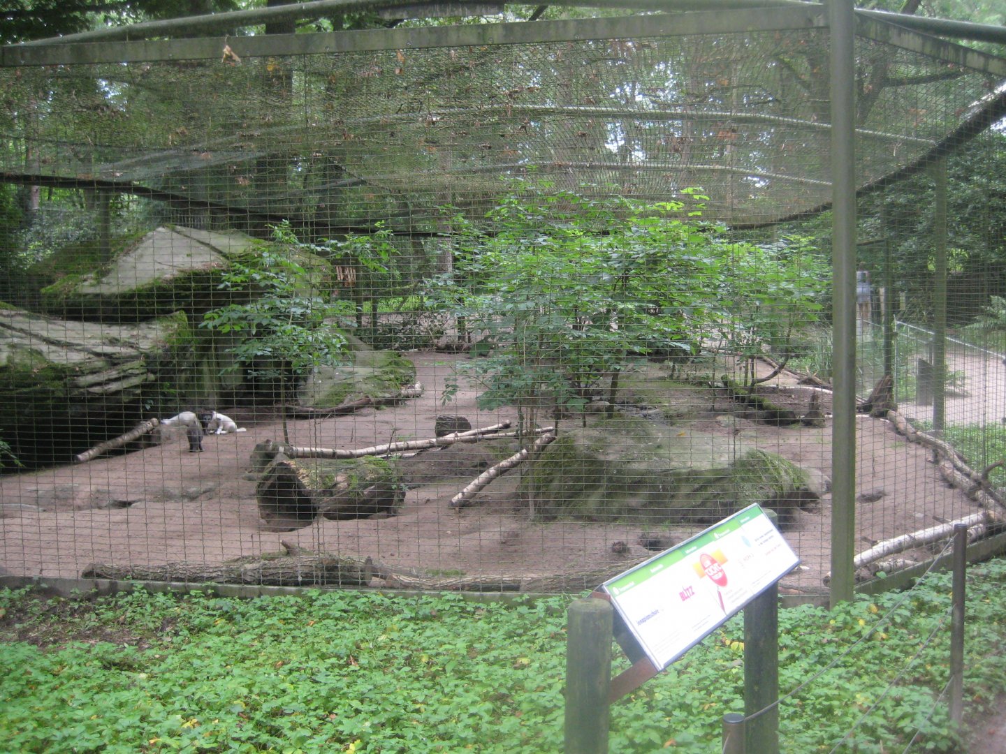 Rostock Zoo - Fox exhibit