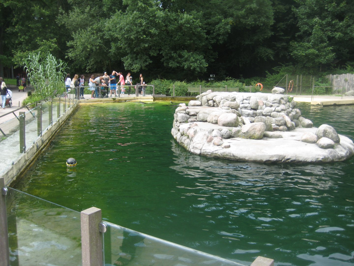 Rostock Zoo - Fur seal exhibit