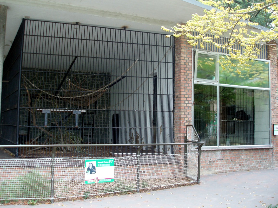 Rostock Zoo - Great Ape cages