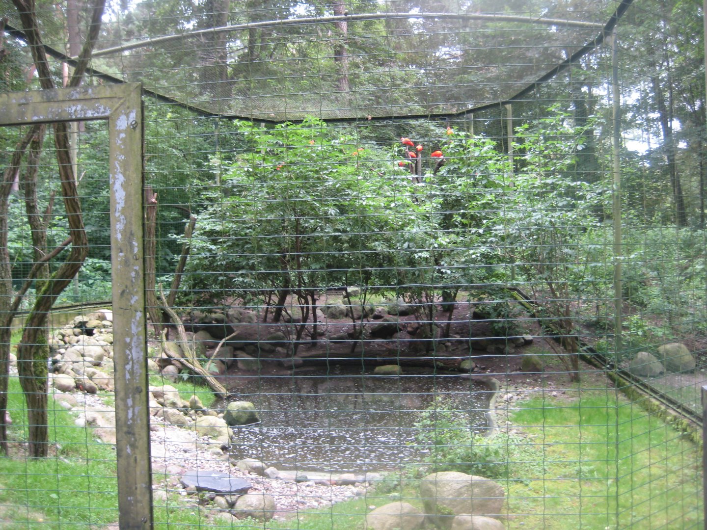 Rostock Zoo - Ibis aviary