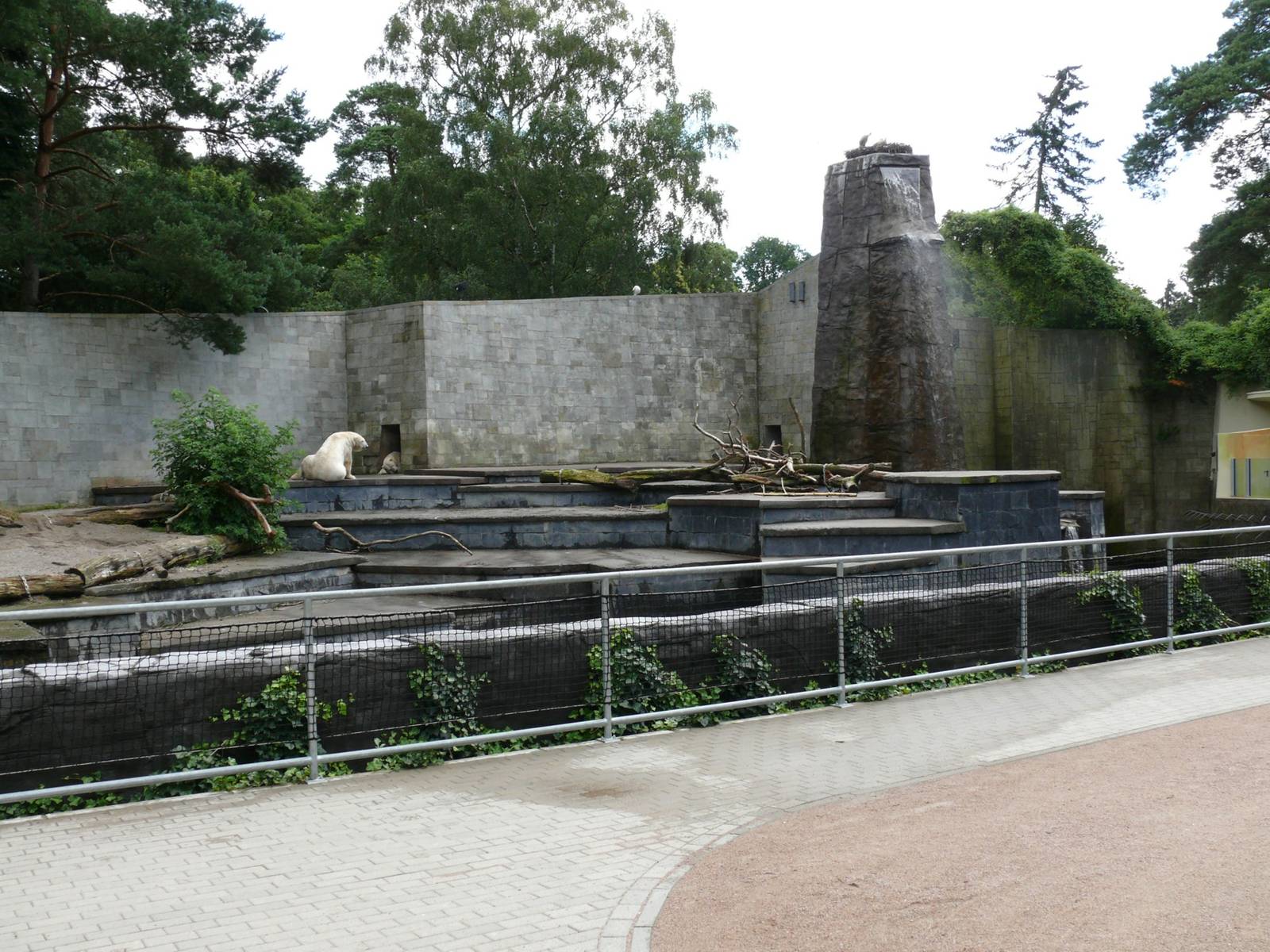 Rostock Zoo - July 2007.