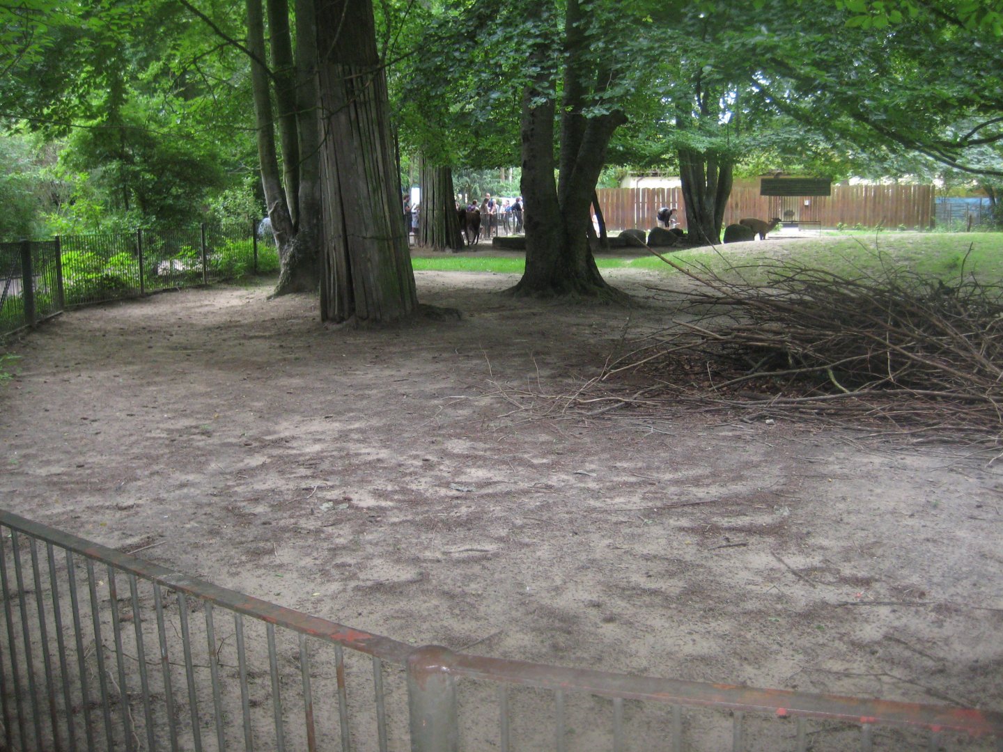 Rostock Zoo - Llama exhibit