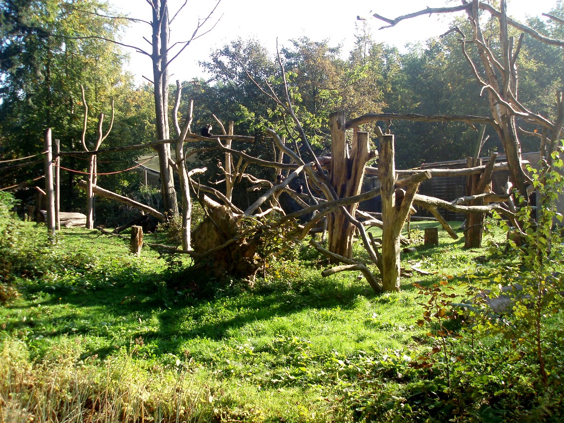 Rostock Zoo - Macaque enclosure