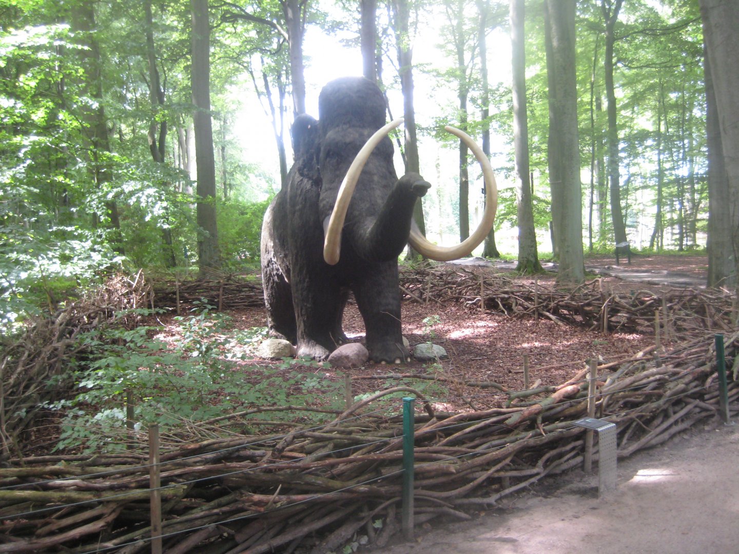 Rostock Zoo - Mammoth