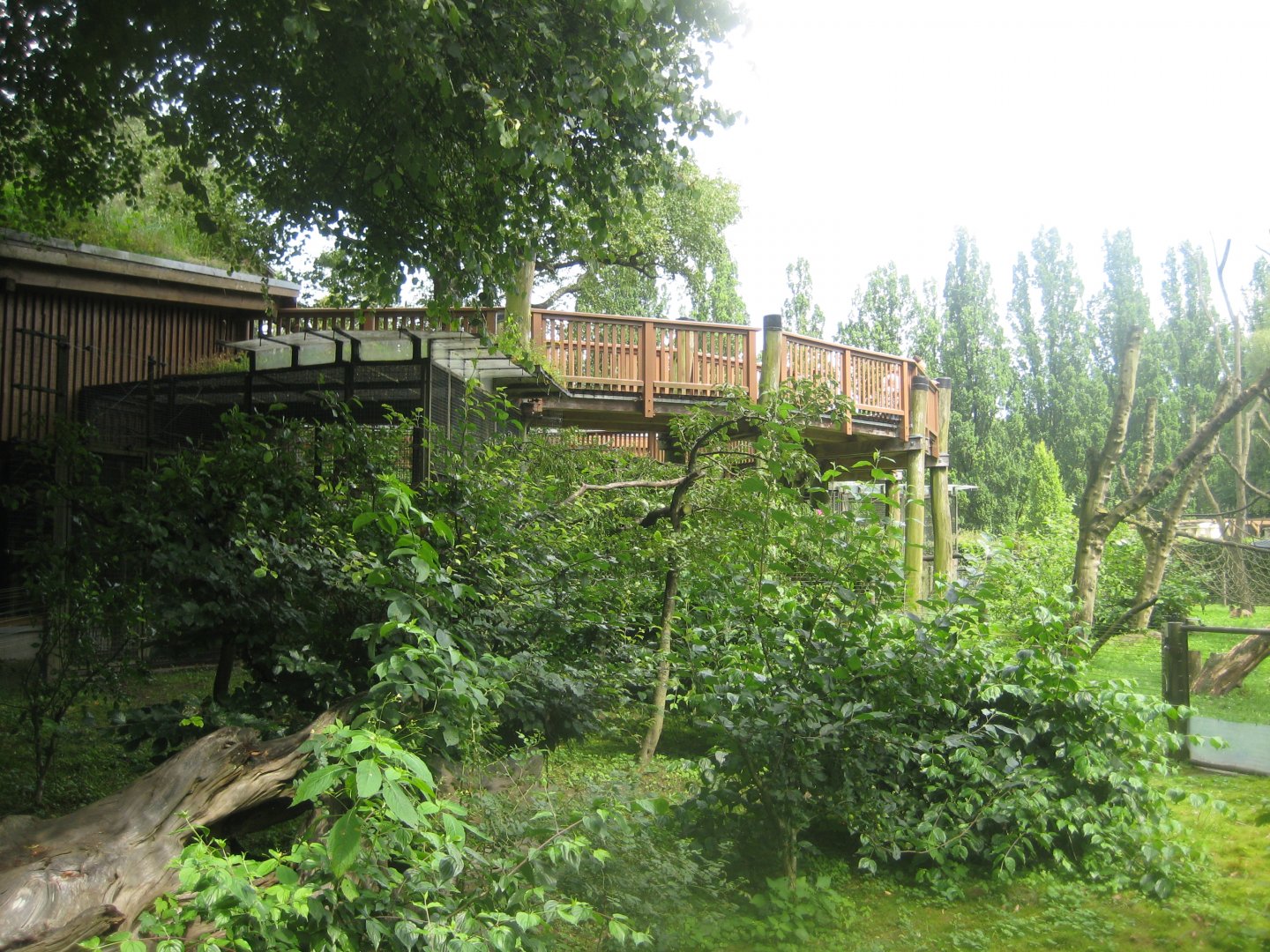 Rostock Zoo - Marmoset exhibit