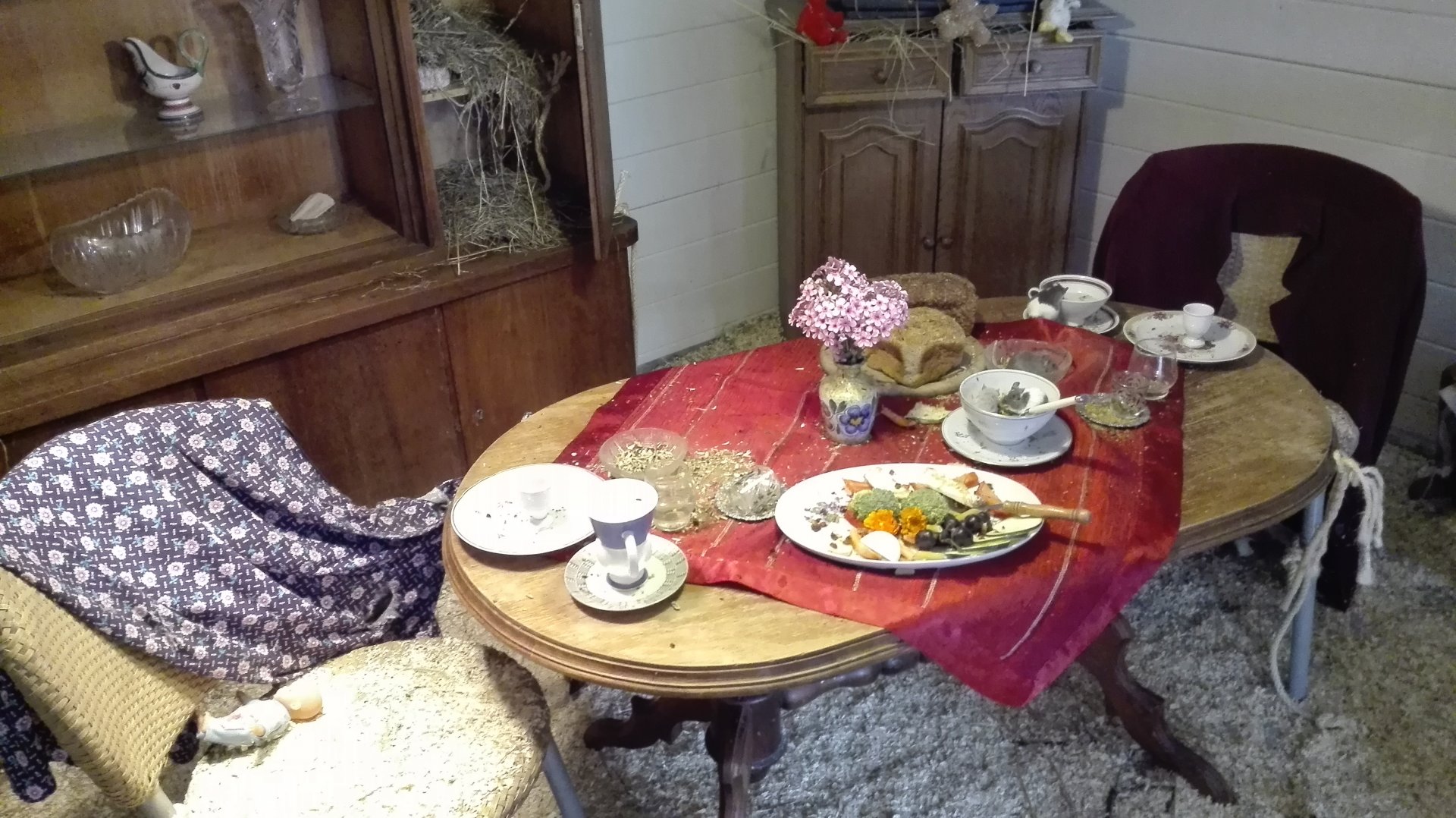 Rostock Zoo - Mouse house