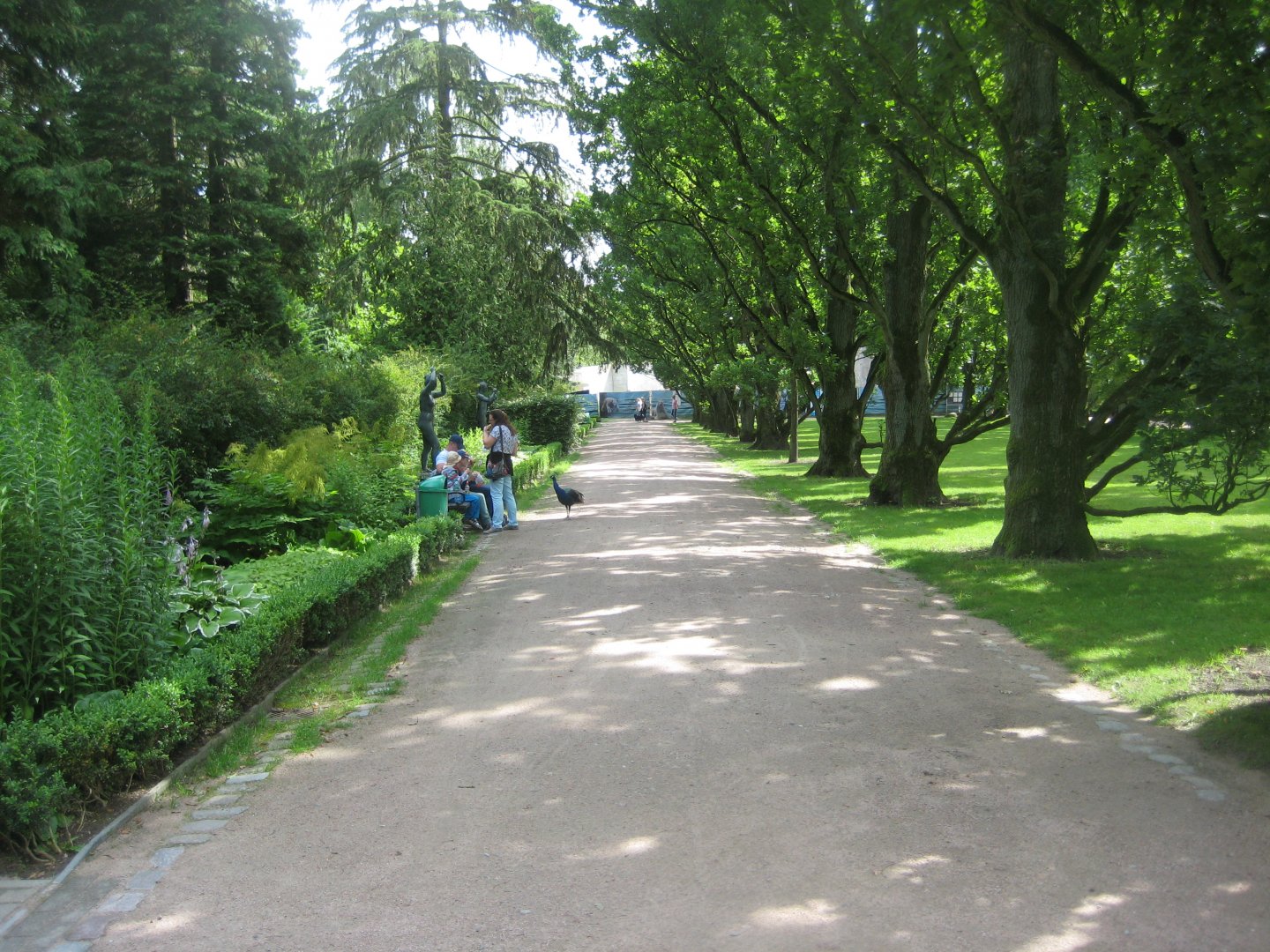 Rostock Zoo - "Oak avenue"