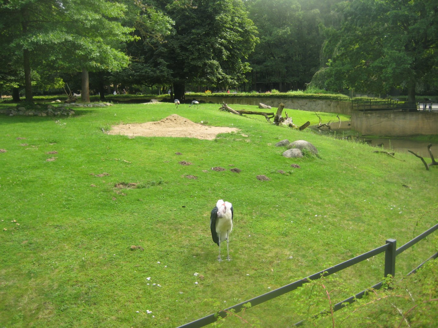 Rostock Zoo - Old hoofstock exhibit