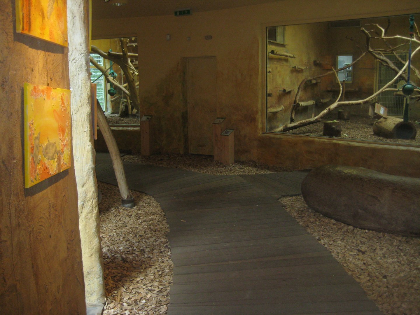 Rostock Zoo - Old World monkey house