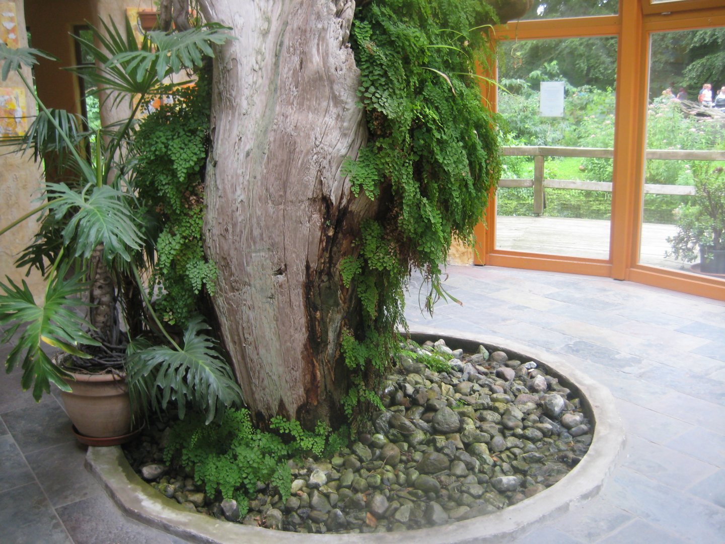 Rostock Zoo - Old World monkey house