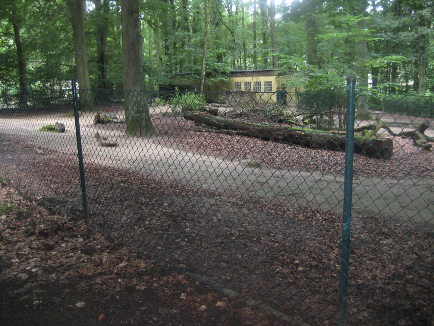 Rostock Zoo - Pampas exhibit
