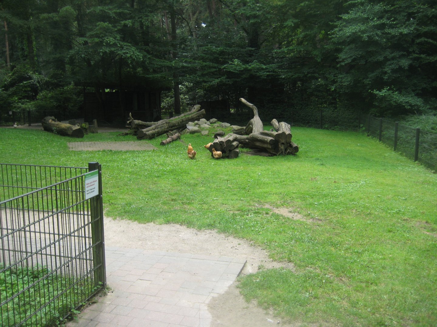 Rostock Zoo - Petting zoo - Goat pen