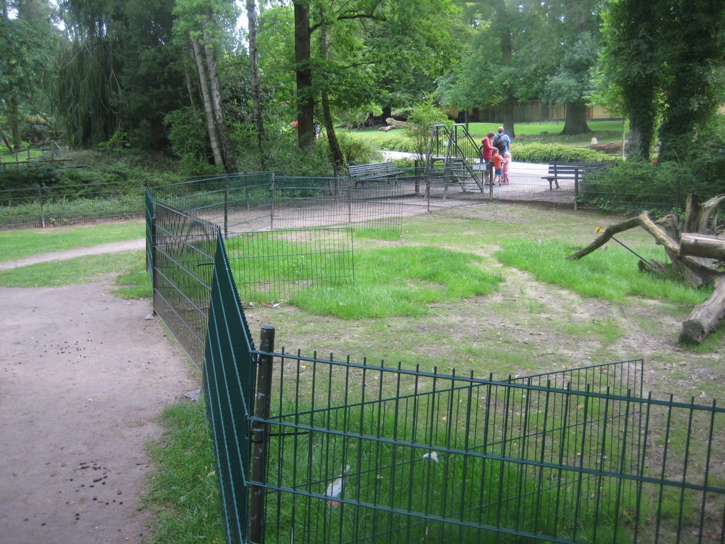 Rostock Zoo - Petting zoo - Goat pen