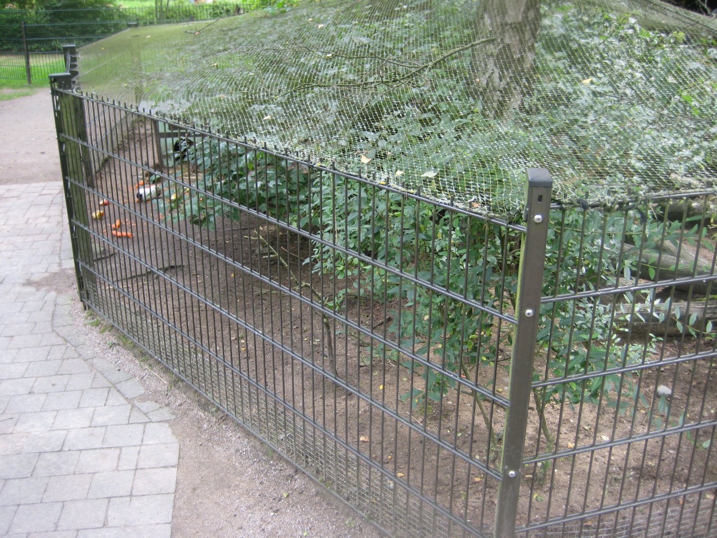 Rostock Zoo - Petting zoo - Guinea pig exhibit