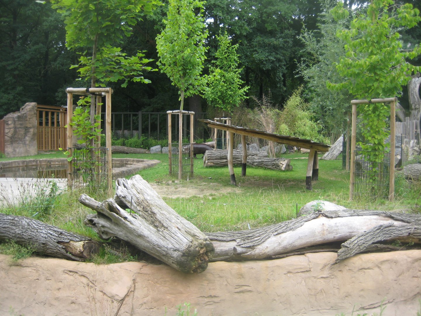 Rostock Zoo - Pygmy hippo exhibit