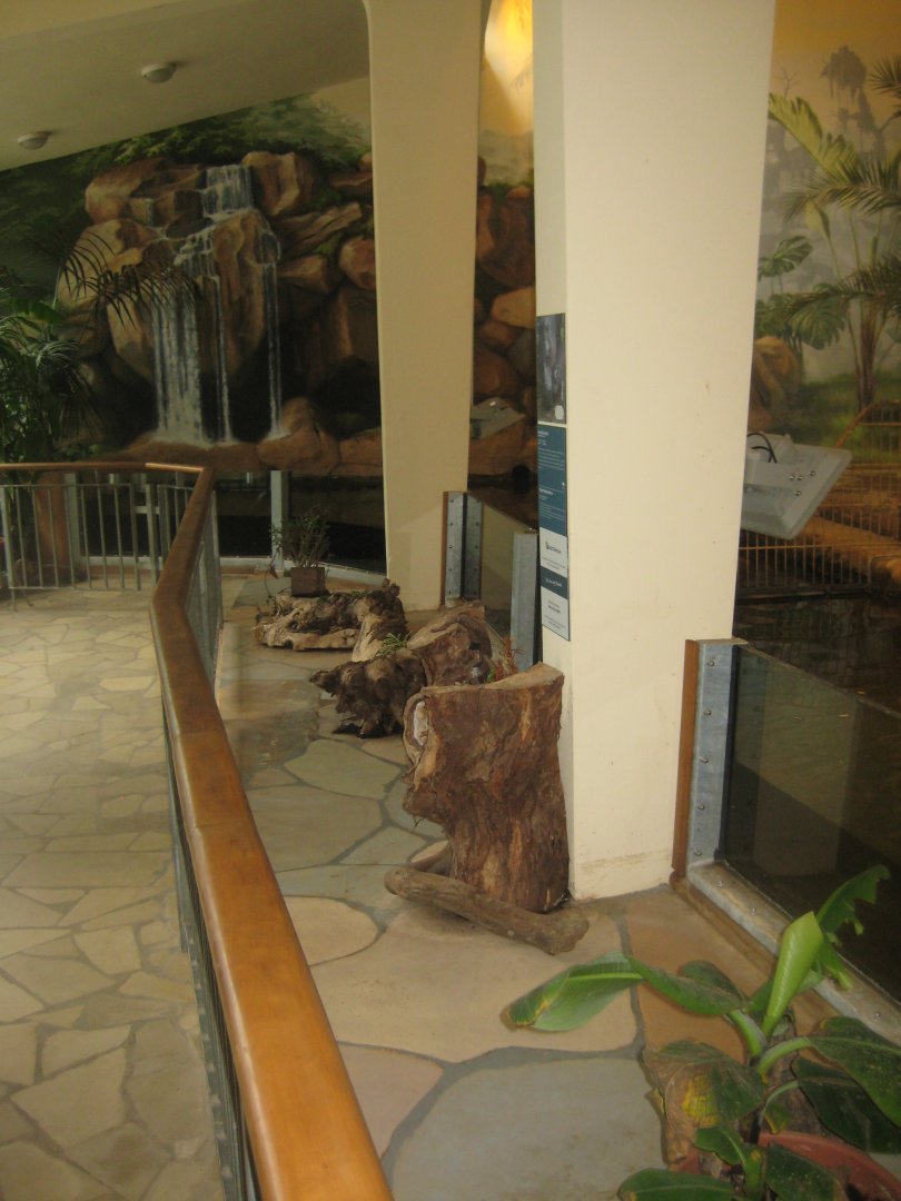 Rostock Zoo - Pygmy hippo house - General view