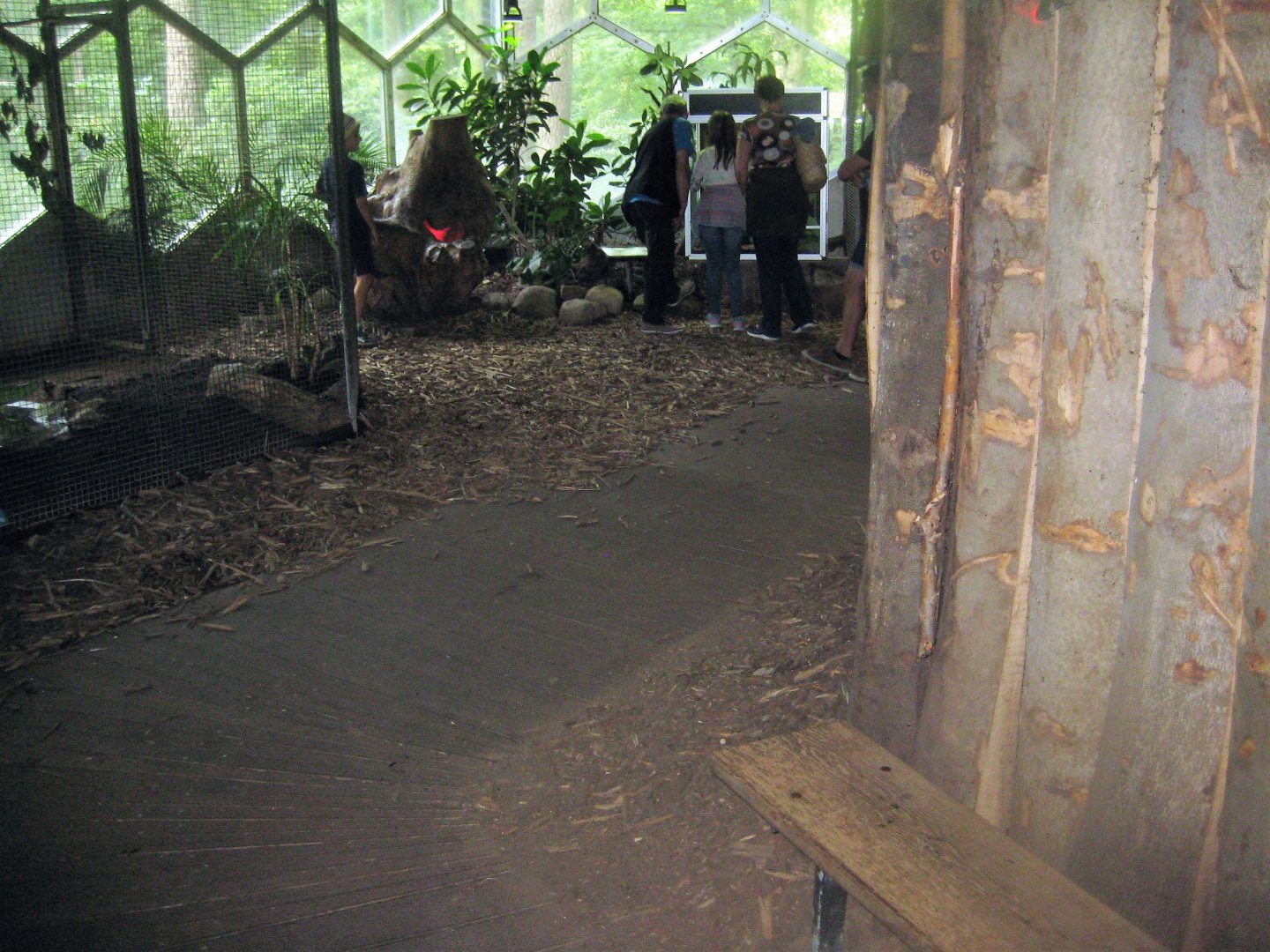 Rostock Zoo - Rainforest Pavilion - General view