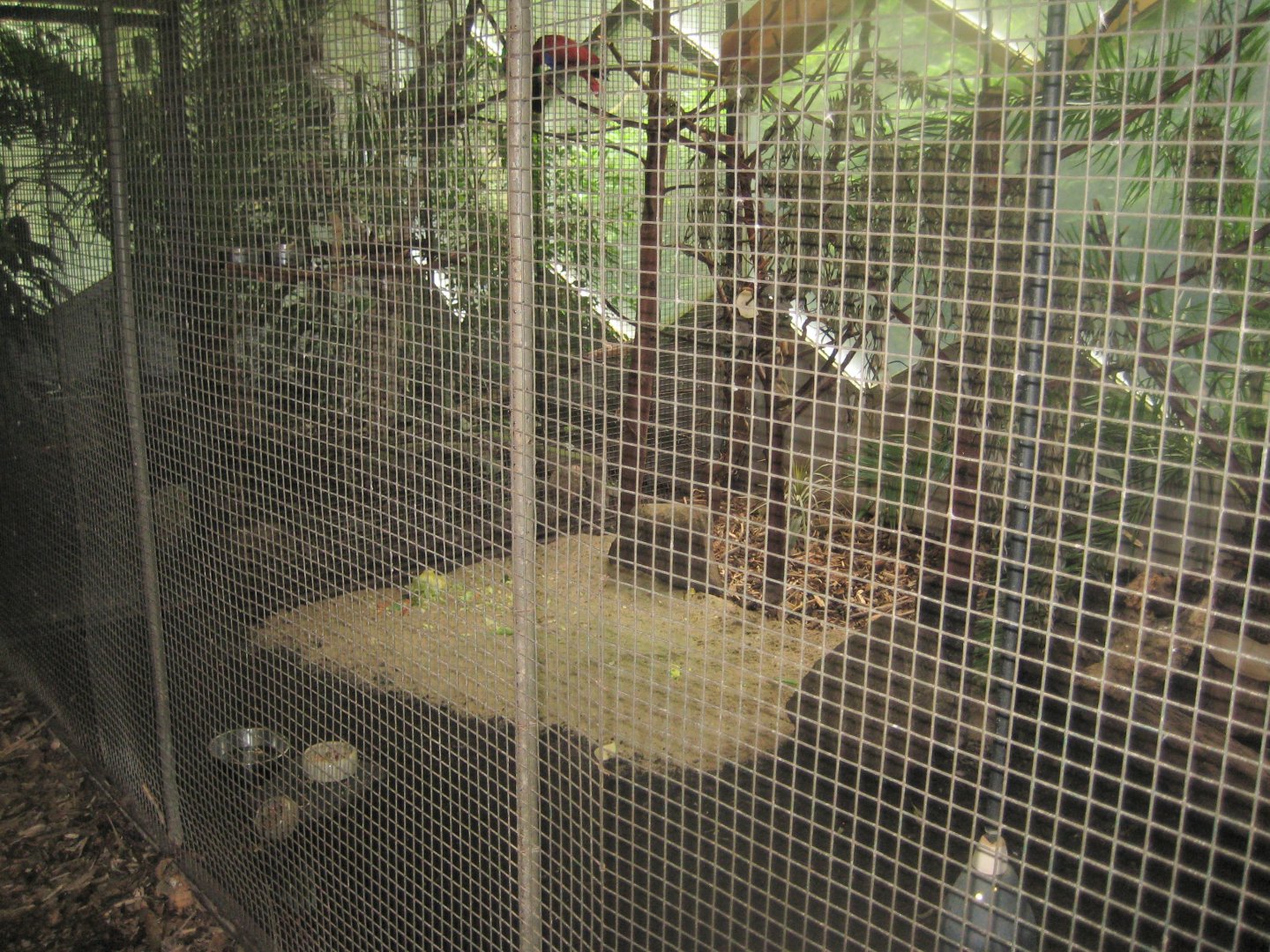 Rostock Zoo - Rainforest Pavilion - Parrot aviary